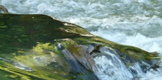 Jak sprawdzić przepływ wody? Jak sprawdzić przepływ wody?