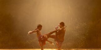 Ile kosztuje godzina boksu?