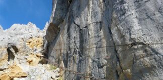 Jak zablokować budowę stacji bazowej telefonii komórkowej? Jak zablokować budowę stacji bazowej telefonii komórkowej?