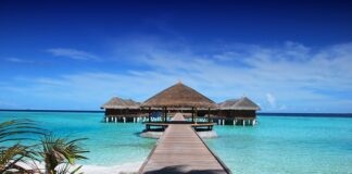 Co do leżenia na plaży? Co do leżenia na plaży?