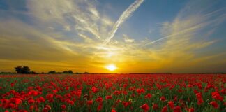 Co oznacza czerwona wskazówka na manometrze? Co oznacza czerwona wskazówka na manometrze?