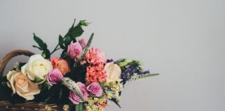 Co do koszyka na piknik? Co do koszyka na piknik?