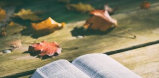 Co można smażyć na ognisku?