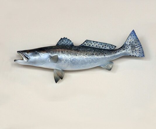 Kiedy żeruje troć? Kiedy żeruje troć?