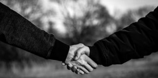 Po czym poznać wolnobieg?