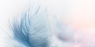 Czy warto kupić platformę wibracyjną?