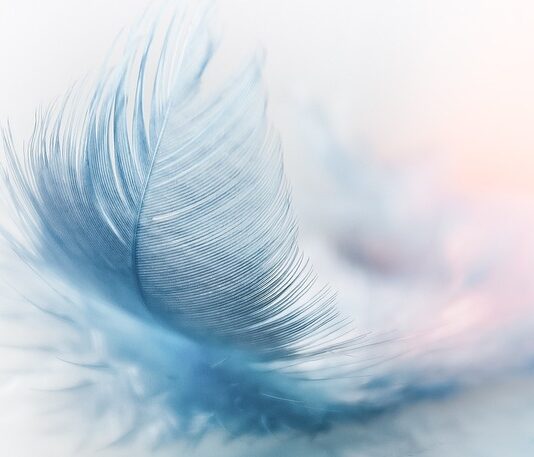 Czy warto kupić platformę wibracyjną? Czy warto kupić platformę wibracyjną?