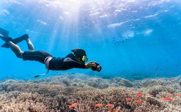 Co oznacza słowo snorkeling? Co oznacza słowo snorkeling?