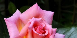 Jak mocno napompować materac?