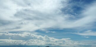 Czym smaruje Cutman?