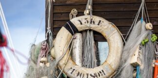 Czym jest koło zębate?