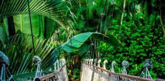 Ile kosztuje kurs MMA?