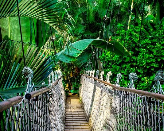 Ile kosztuje kurs MMA? Ile kosztuje kurs MMA?