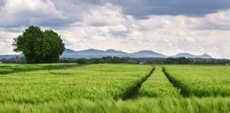 Co bardziej obciąża kolana narty czy snowboard?