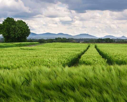 Co bardziej obciąża kolana narty czy snowboard? Co bardziej obciąża kolana narty czy snowboard?