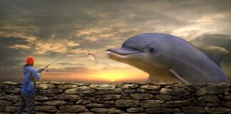 Jaką grubość żyłki na spławik? Jaką grubość żyłki na spławik?