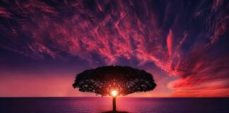 Jaka żyłka nad morze?