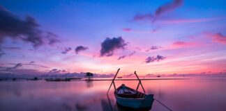 Czy kolor plecionki ma wpływ na brania?