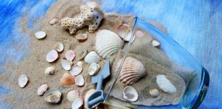 Ile razy w tygodniu ćwiczyć na platformie wibracyjnej? Ile razy w tygodniu ćwiczyć na platformie wibracyjnej?