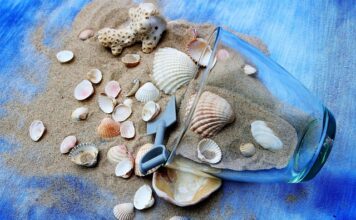 Ile razy w tygodniu ćwiczyć na platformie wibracyjnej?