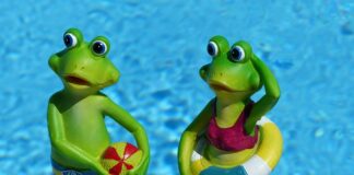 Jaka maska do pływania?