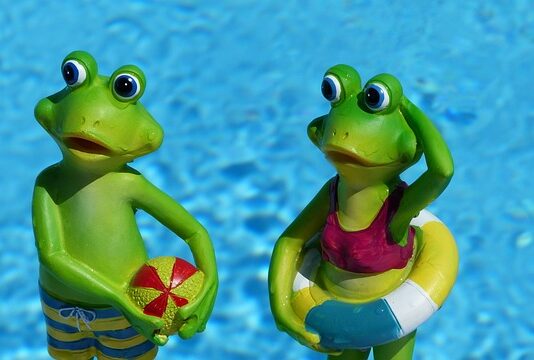 Jaka maska do pływania? Jaka maska do pływania?