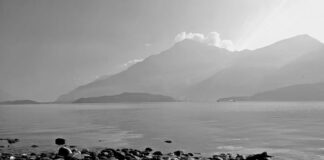 Ile kosztuje kilogram dorsza z kutra? Ile kosztuje kilogram dorsza z kutra?