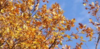 Co zrobić po napromieniowaniu?