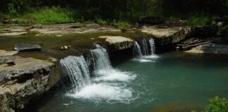 Jakie jest najwyższe odznaczenie wojskowe?
