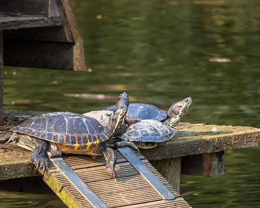 Jak przechowywać materac?