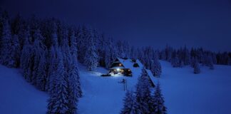 Jakie są polskie marki butów?