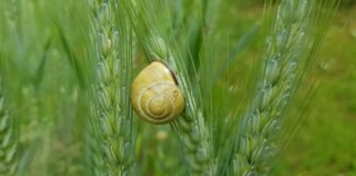 Jak uszczelnić manometr? Jak uszczelnić manometr?